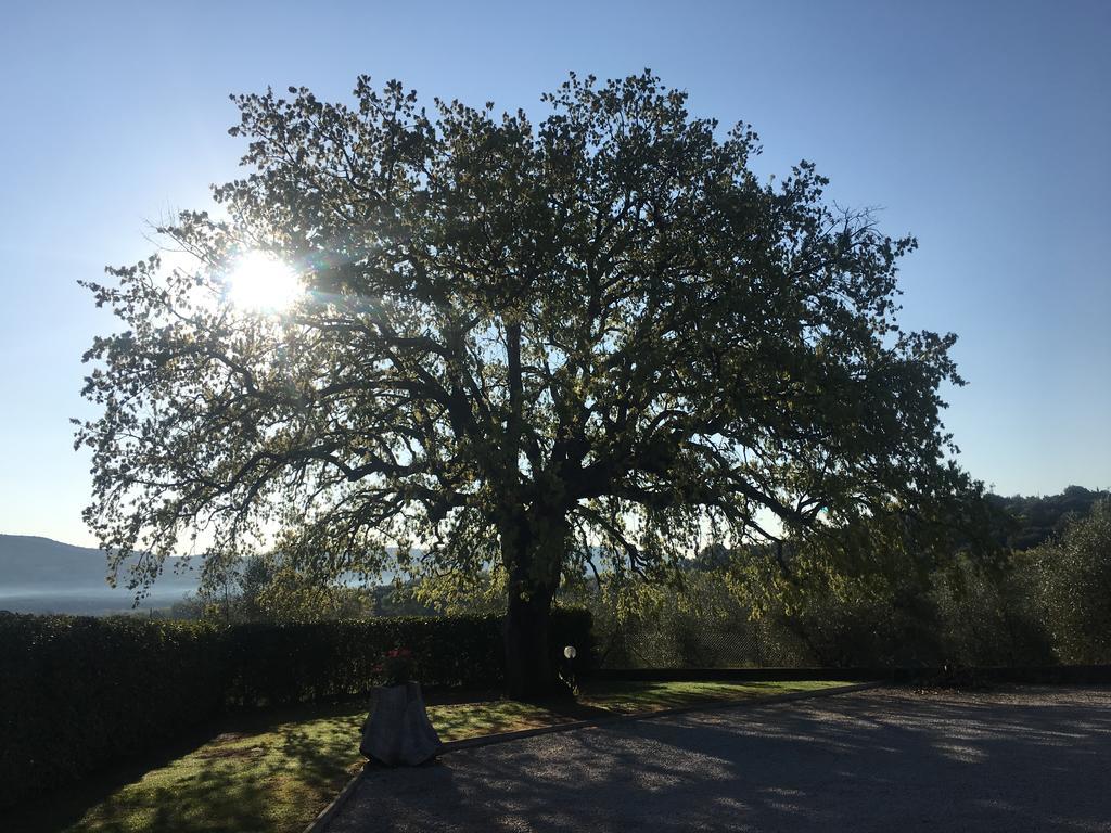 Agriturismo Pian Del Vescovo Massa Marittima Luaran gambar